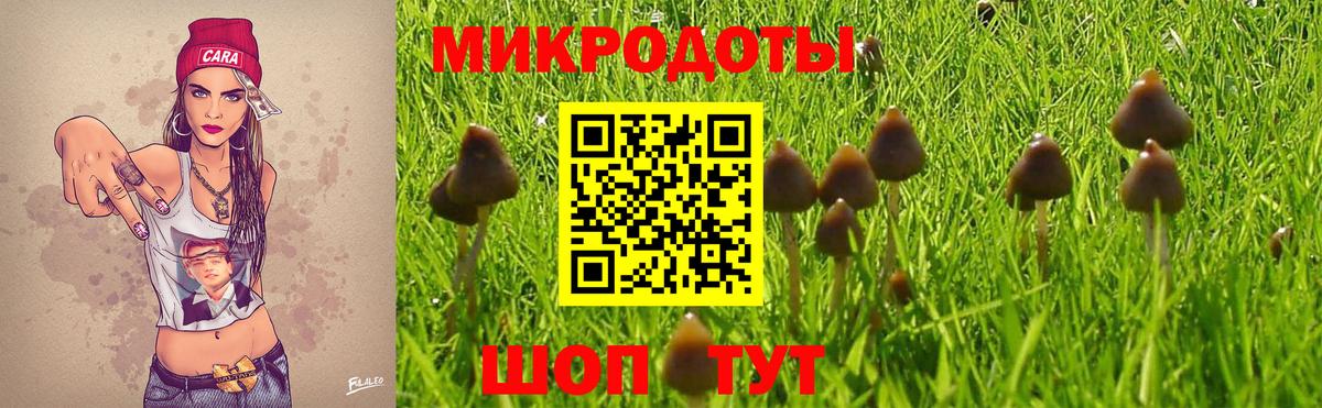 Псилоцибиновые грибы мицелий  Псилоцибиновые грибы Cubensis  Вход с VPN  Норильск 